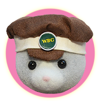 Sylvanian Families Butler Bear Bus Driver and Conductor