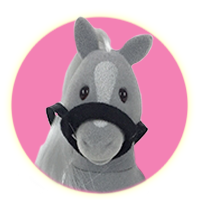 Sylvanian Families Ivy the Grey Pony