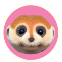 Sylvanian Families Spotter Meerkat Family