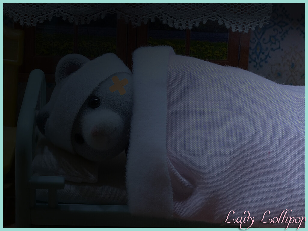 Sylvanian Bearbury patient waking up