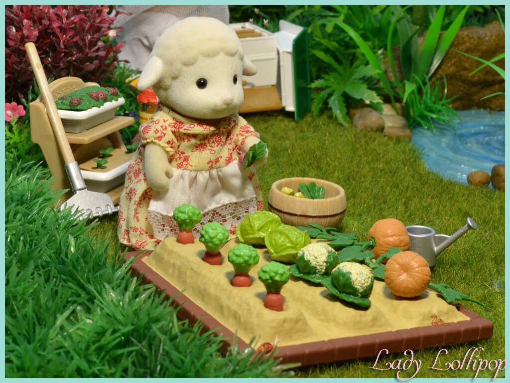 Dale Sheep aunt in vegetable garden