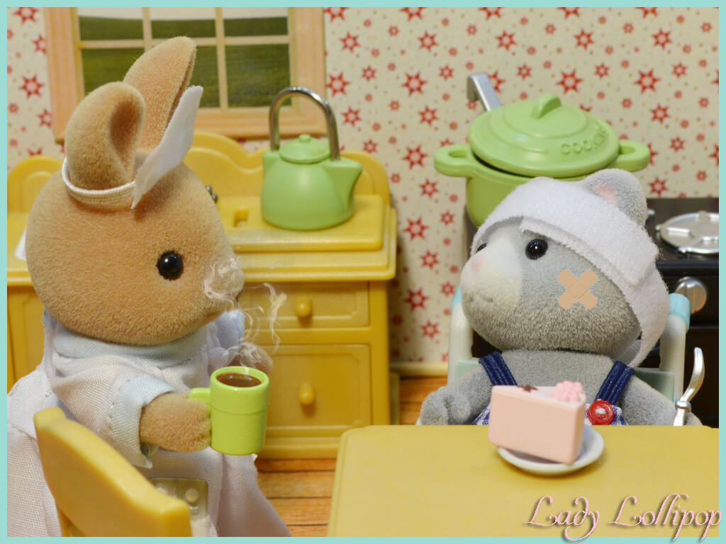 Sylvanian nurse giving patient some cake