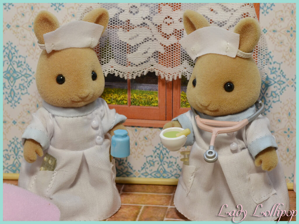 Sylvanian Families nurses with herbal medicines