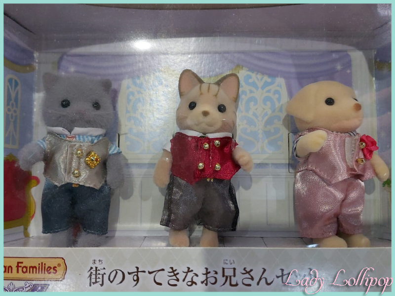 Sylvanian Families Handsome Brothers set of older brothers from the Sylvanian Town series